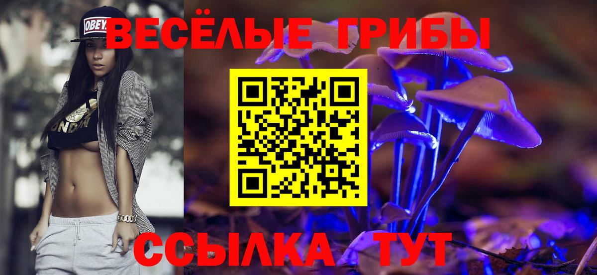 Алушта  Псилоцибиновые грибы MAGIC MUSHROOMS  Псилоцибиновые грибы мухоморы  Вход с VPN 
